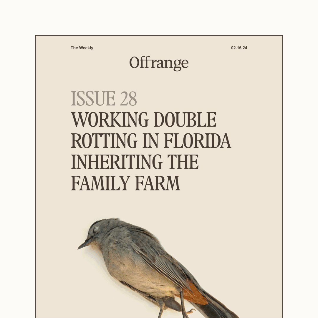 Offrange Weekly newsletter covers